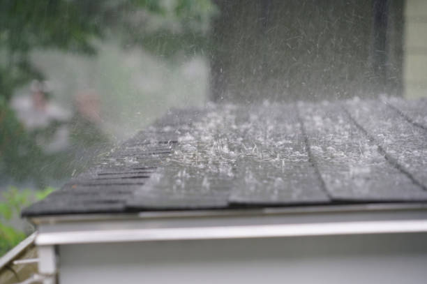 Best Commercial Roofing Services  in Thomson, GA
