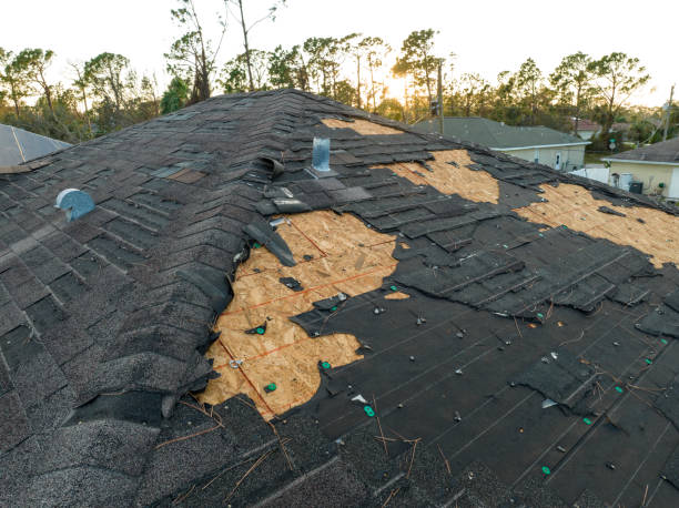 Best Solar Panel Roofing Installation  in Thomson, GA